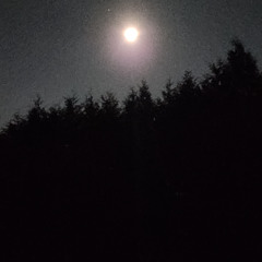 8. Project_50 (MUSH)