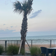 evelyn-castro-do-you-see-me-too-.m4a