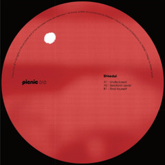 Picnic 010 - Shkedul - Serotonin Level