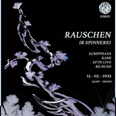 rauschen ir spinnerei