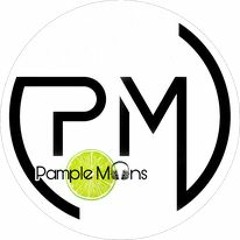 MAKJ x Luis Torres - PSA (Pample Moons Remix)