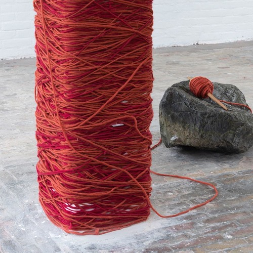 #2 The pluriversity and knowledge as a weaving - with Aldo E. Ramos