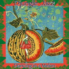 DJ #001 ~ Dancing in a Melon ➳ by Mr Djungle