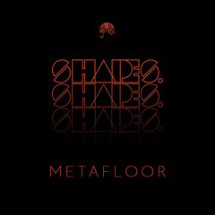 Shapes. Guest Mix 013 // Metafloor