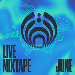 Smith & Mighty – B-Line Fi Blow (Bassnectar Remix) [cut]