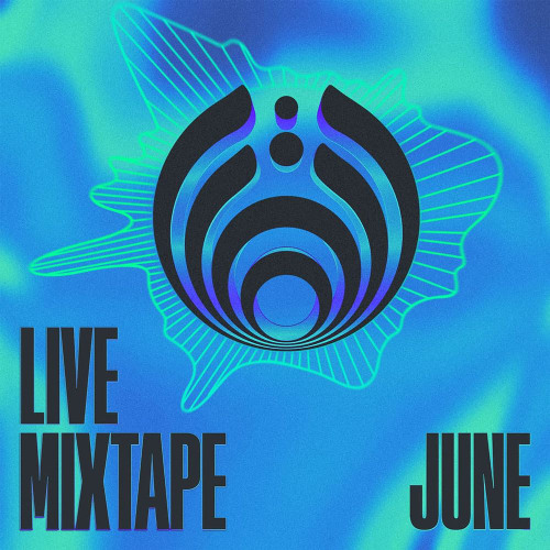 Smith & Mighty – B-Line Fi Blow (Bassnectar Remix) [cut]