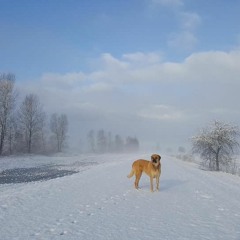 We Are With You (No Words)