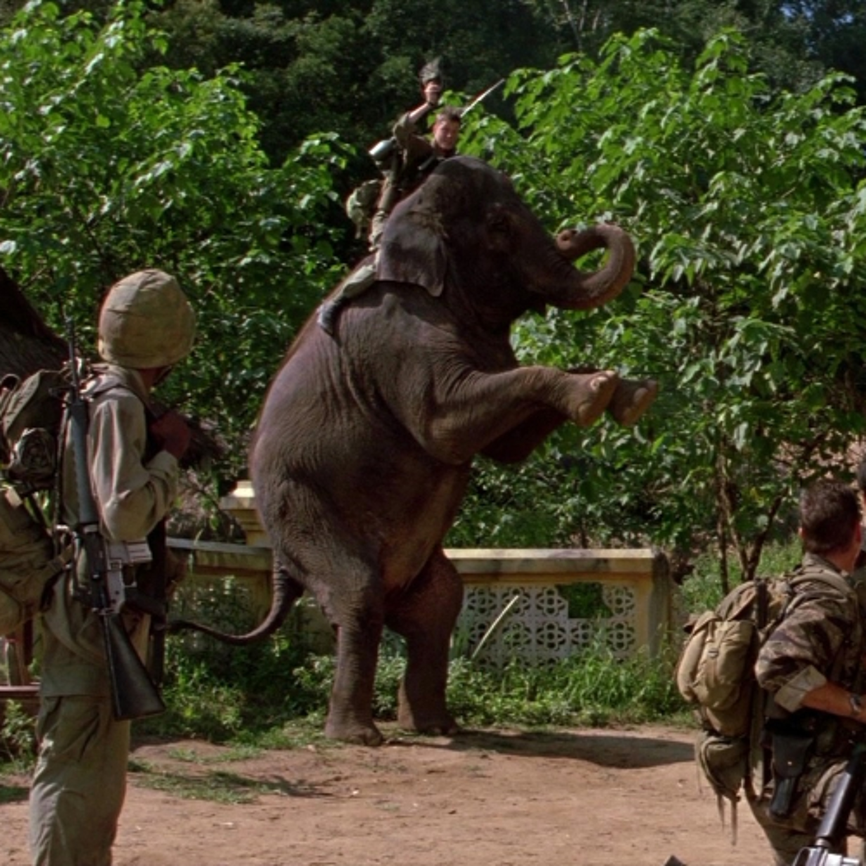 I Kassen #1210: Operation Dumbo Drop (1995)