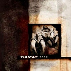 Carry your cross and I'll carry mine (Cover) - Tiamat
