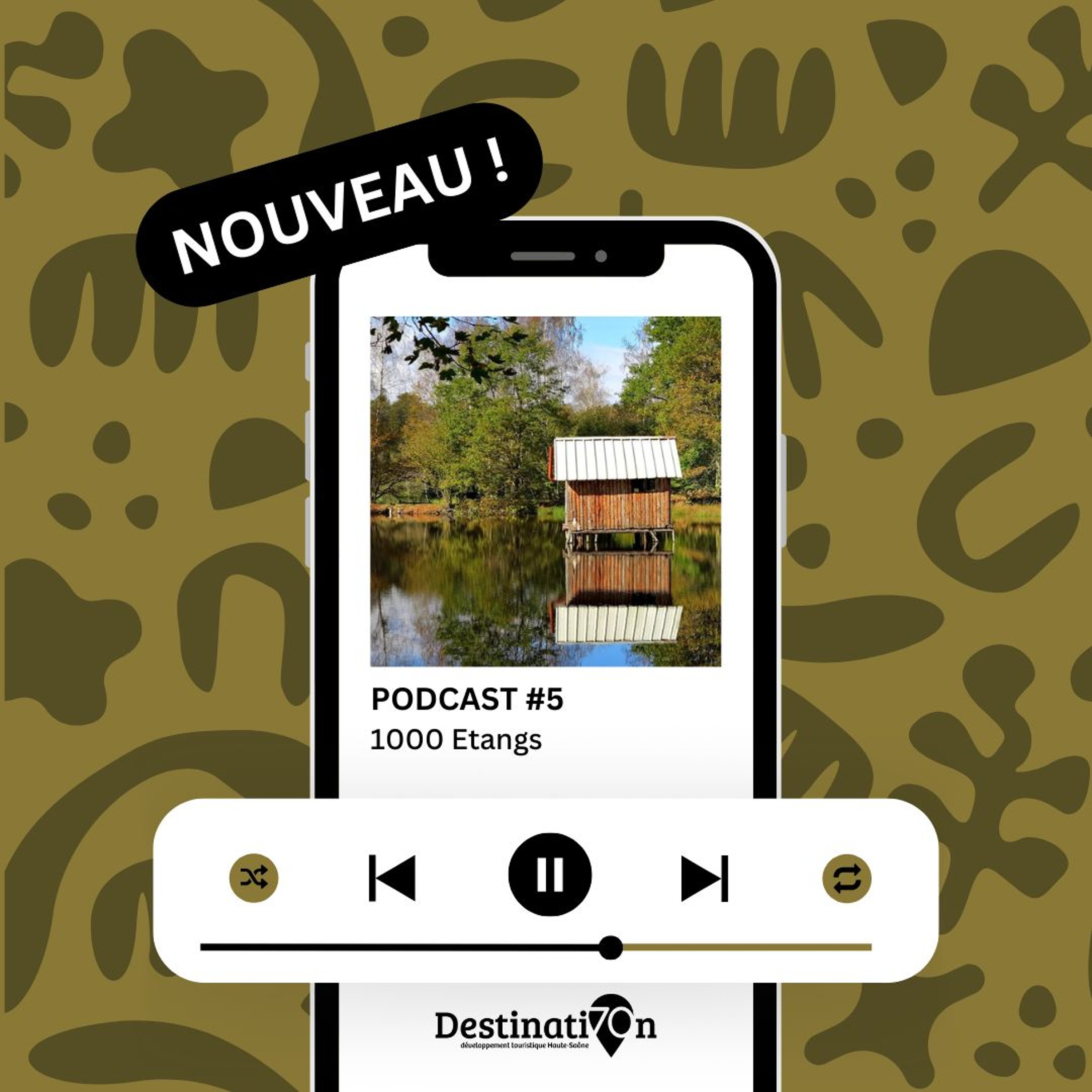 Eaux sauvages et mémoire vivante dans les 1000 Etangs