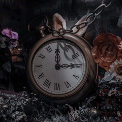 Back in wonderland ♤♡◇♧