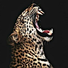 Doozie, The Fish House - Lion king ..mp3