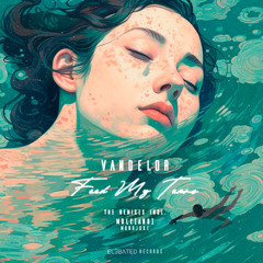 LTR Premiere: Vandelor - Feed My Tears [Elebated Records]