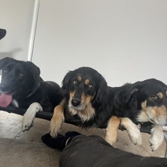 Organic house/down tempo mix - 2025-04-06