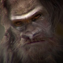 Bigfoot Radio 12 - 02 - 22