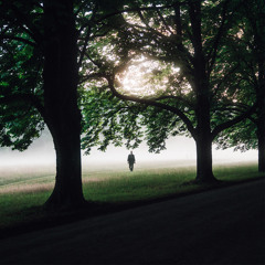 Woodlands