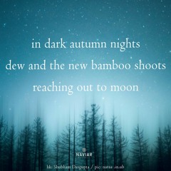 in dark autumn nights dew and the new bamboo shoots reaching out to moon        naviarhaiku 511