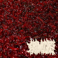 MajinBlxxdy x grimcore - disemboweled [kodiene]