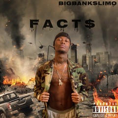 FACT$ (prod. itzrxch/Blingeez/Nskyi)