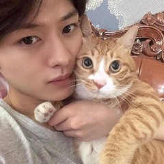 cats r cool >:3