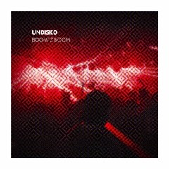 Undisko (Original Mix)