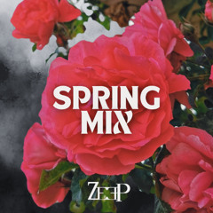 Spring Mix (2025) - Zeep