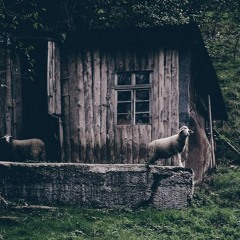 Mutually Assured Destruction