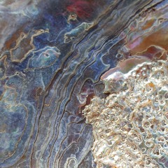 Fractures