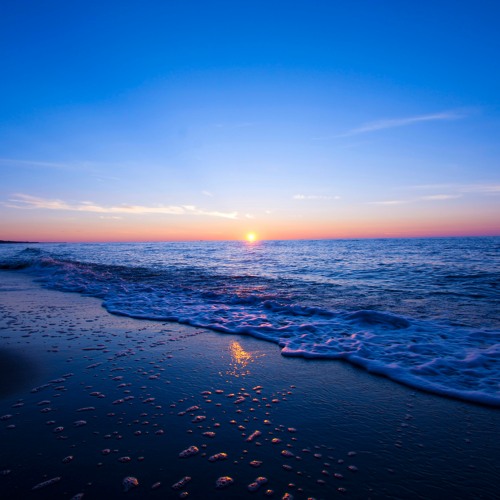 Divine Remedy For The Constricted Chest - By Shaykh Abu Idrees Muhammad(حفظه الله)-Khutbah