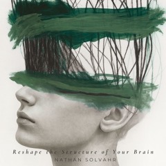 Mind Architecture Reset