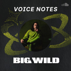 Voice Notes: Big Wild on "Love Any Longer"