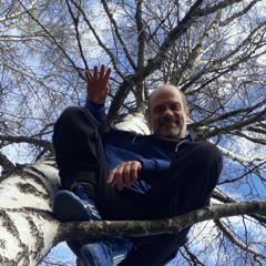 SETS Sound in Body, Sound in Mind - Rockin Blues