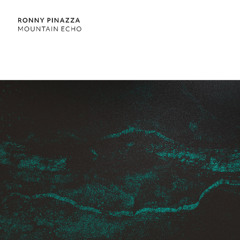 PREMIERE : Ronny Pinazza - Black Forest Path (Federico Corrado Interpretation) [PITCH53]