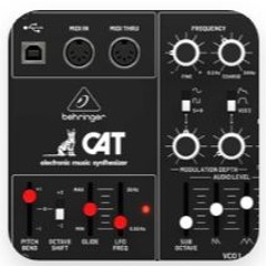 Böhringer's Cat (only)