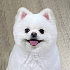 알빠노?