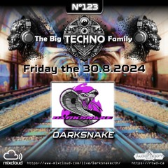 THE BIG TECHNO FAMILY 123 "Darksnake Live Techno" Radio TwoDragons 31.8.2024