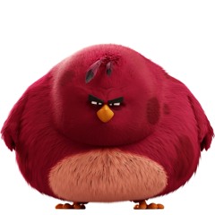Angry ass bird