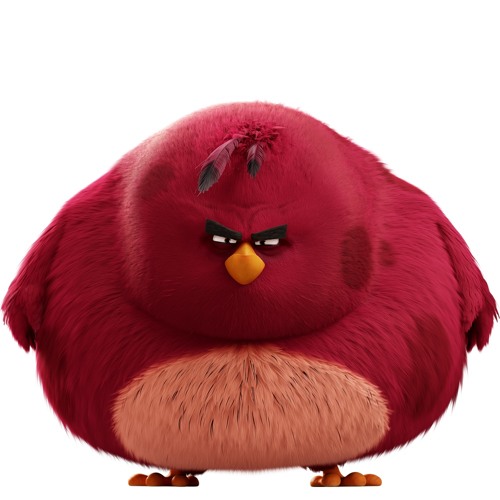 Angry ass bird