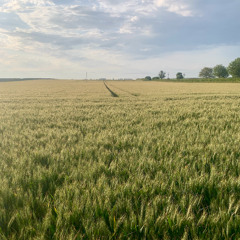 Breakfast with Dyslecta - 26 September 2025