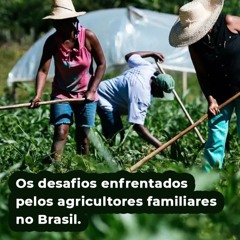 Os desafios enfrentados pelos agricultores familiares no Brasil