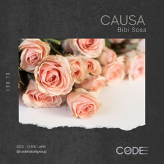 Bibi Sosa - Causa