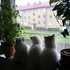 Know that I am GOD. The storm never last forever.