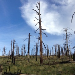 The War Machine Keeps Turning