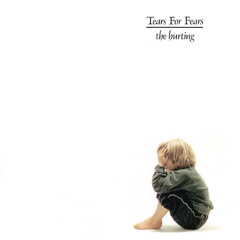 Pale Shelter - Tears For Fears (Instrumental Cover)