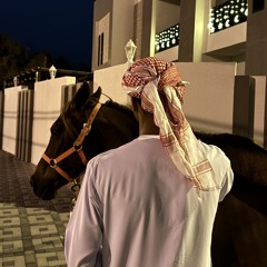 برج عاجي - راشد الماجد 🐎