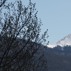 Astrophysics - final