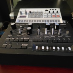 Bassik8