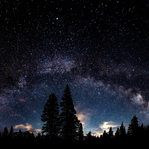Guardians of creation.