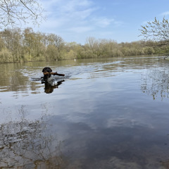 All that you need (feat. Zoe Kyoti) WIP