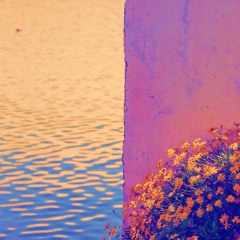 Transitions
